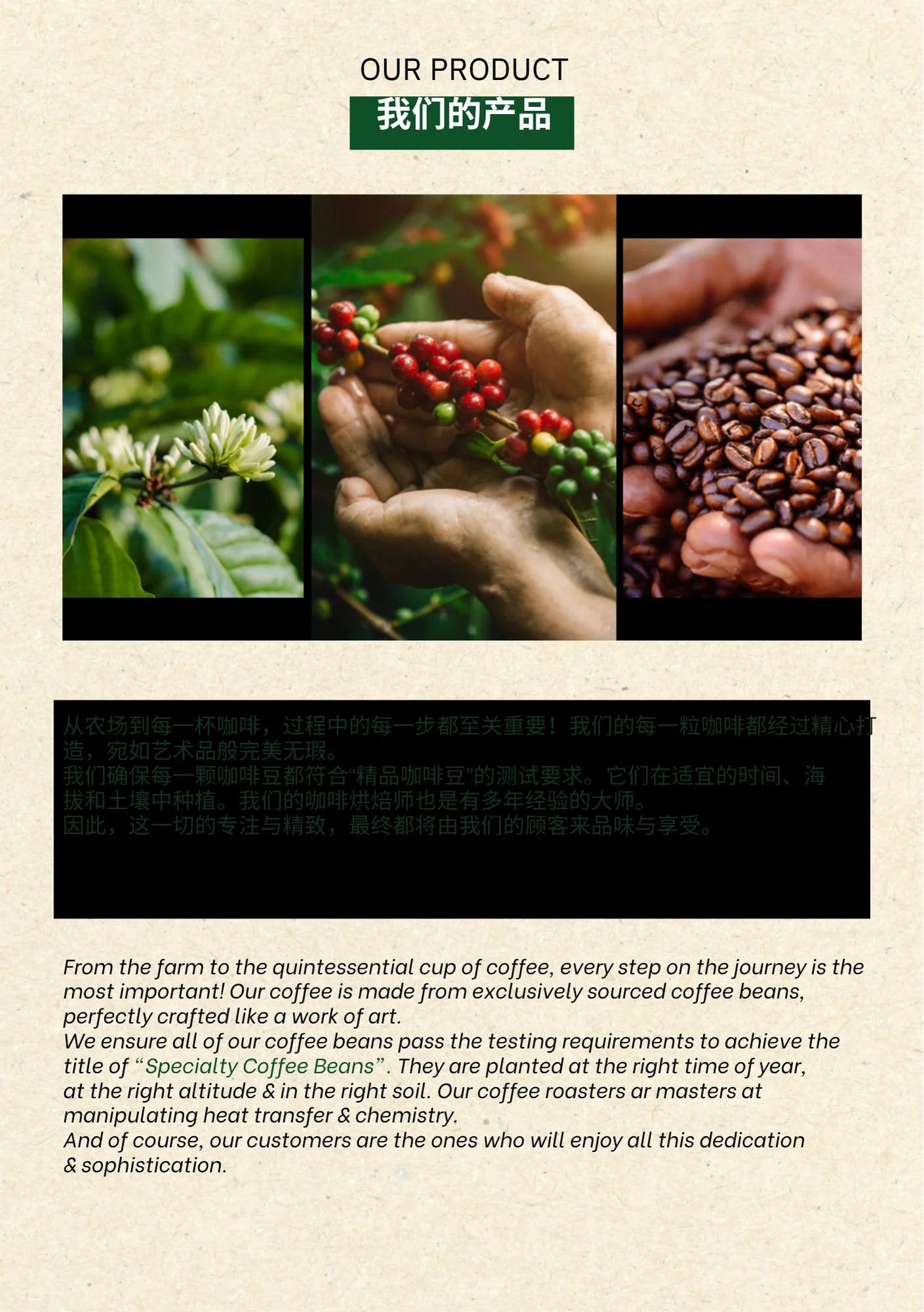 Viet Specialty Coffee